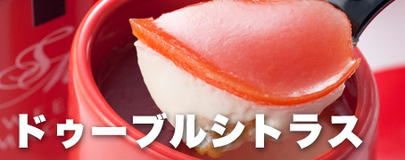 ドゥーブルシトラス