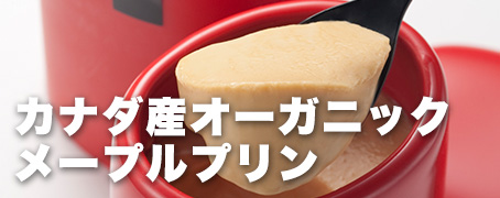 オーガニックメープルプリン